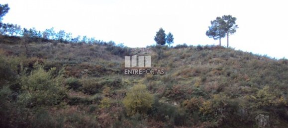 Grundstück in Marco de Canaveses, Portugal 27000m², Nr. 55083 2