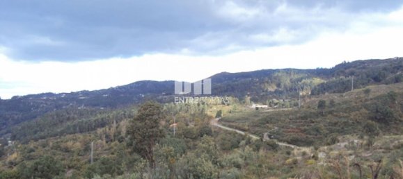 Grundstück in Marco de Canaveses, Portugal 27000m², Nr. 55083 9