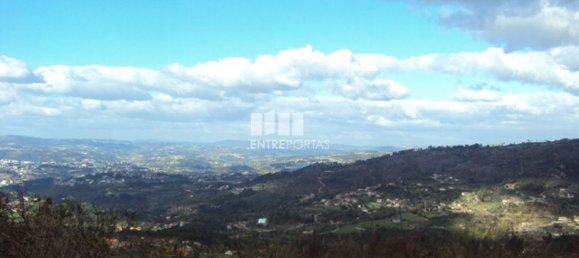 Grundstück in Marco de Canaveses, Portugal 27000m², Nr. 55083 6