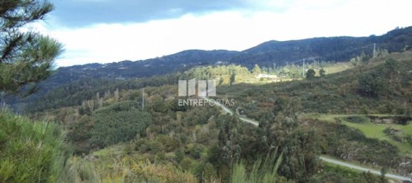 Grundstück in Marco de Canaveses, Portugal 27000m², Nr. 55083 20