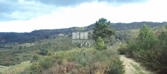 Grundstück in Marco de Canaveses, Portugal 27000m², Nr. 55083 13