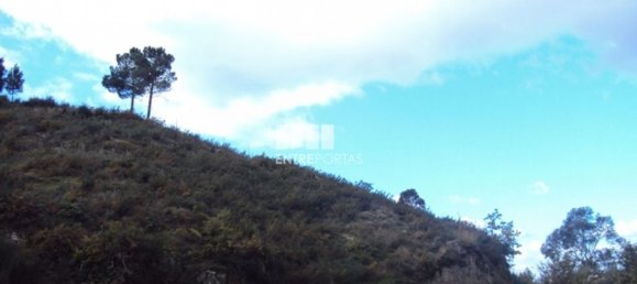 Grundstück in Marco de Canaveses, Portugal 27000m², Nr. 55083 3