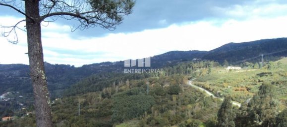 Grundstück in Marco de Canaveses, Portugal 27000m², Nr. 55083 21