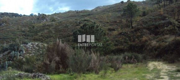 Grundstück in Marco de Canaveses, Portugal 27000m², Nr. 55083 24