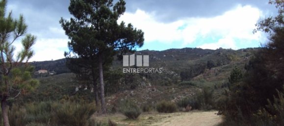 Grundstück in Marco de Canaveses, Portugal 27000m², Nr. 55083 15