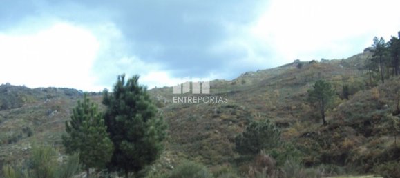 Grundstück in Marco de Canaveses, Portugal 27000m², Nr. 55083 19