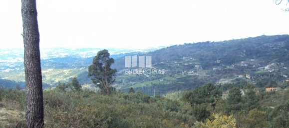 Grundstück in Marco de Canaveses, Portugal 27000m², Nr. 55083 25