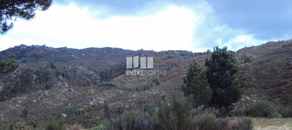 Grundstück in Marco de Canaveses, Portugal 27000m², Nr. 55083 16