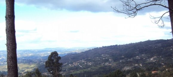 Grundstück in Marco de Canaveses, Portugal 27000m², Nr. 55083 22