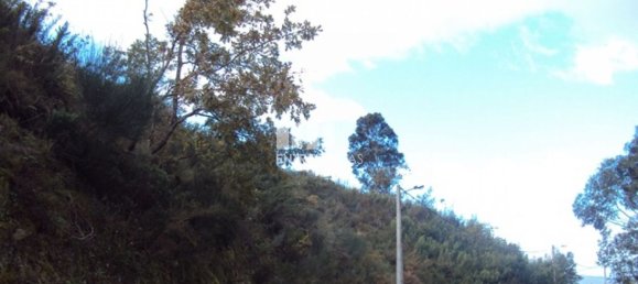 Grundstück in Marco de Canaveses, Portugal 27000m², Nr. 55083 4