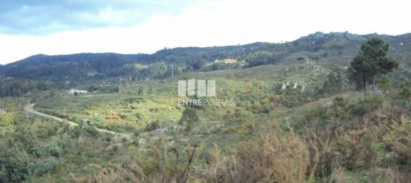 Grundstück in Marco de Canaveses, Portugal 27000m², Nr. 55083 12