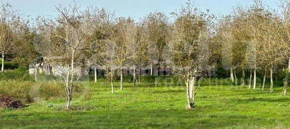  قطعة أرض في Fabrica di Roma, Italy 24000متر مربع رقم 277223 6