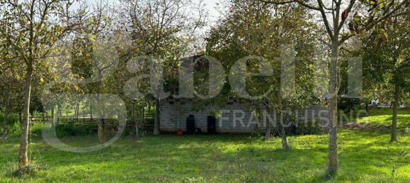  قطعة أرض في Fabrica di Roma, Italy 24000متر مربع رقم 277223 13