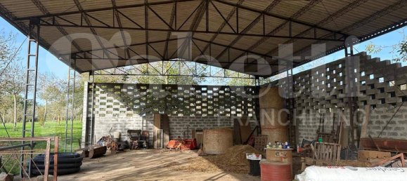  قطعة أرض في Fabrica di Roma, Italy 24000متر مربع رقم 277223 3