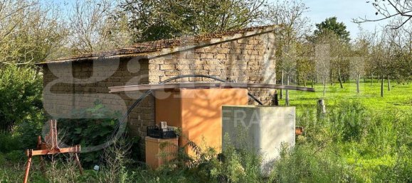  قطعة أرض في Fabrica di Roma, Italy 24000متر مربع رقم 277223 8