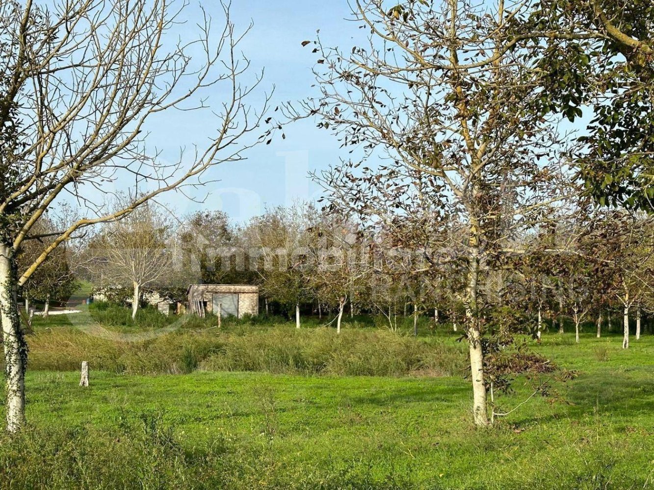  قطعة أرض في Fabrica di Roma, Italy 24000متر مربع رقم 277223