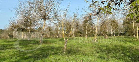  قطعة أرض في Fabrica di Roma, Italy 24000متر مربع رقم 277223 4