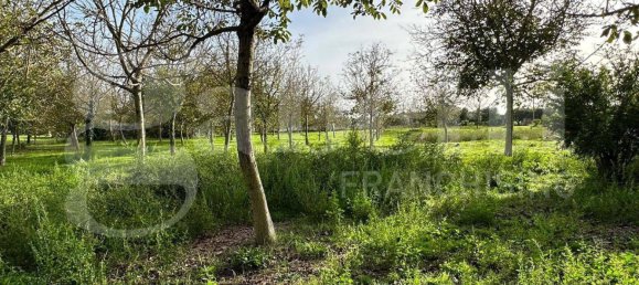  قطعة أرض في Fabrica di Roma, Italy 24000متر مربع رقم 277223 11