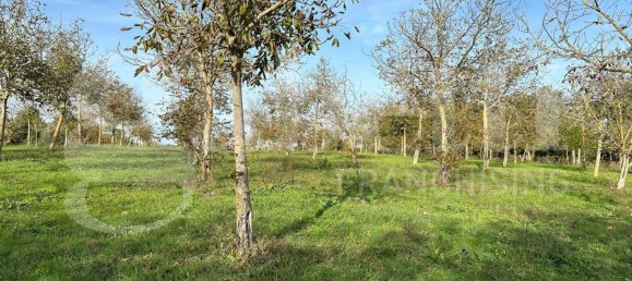  قطعة أرض في Fabrica di Roma, Italy 24000متر مربع رقم 277223 12