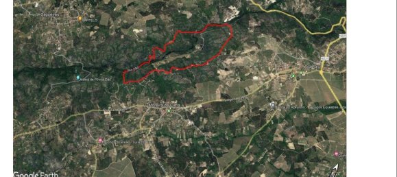 7 غرف نوم قلاع في Silgueiros, Portugal رقم 58257 40