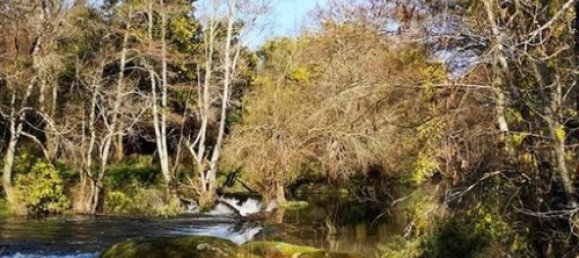 7 غرف نوم قلاع في Silgueiros, Portugal رقم 58257 34