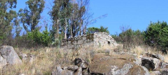 7 غرف نوم قلاع في Silgueiros, Portugal رقم 58257 15