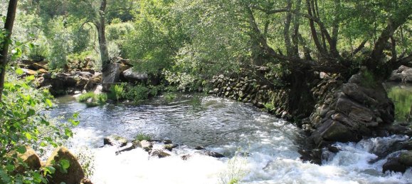 7 غرف نوم قلاع في Silgueiros, Portugal رقم 58257 27