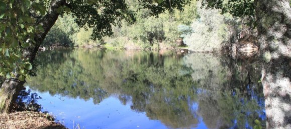 7 غرف نوم قلاع في Silgueiros, Portugal رقم 58257 21