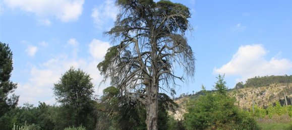 7 غرف نوم قلاع في Silgueiros, Portugal رقم 58257 24