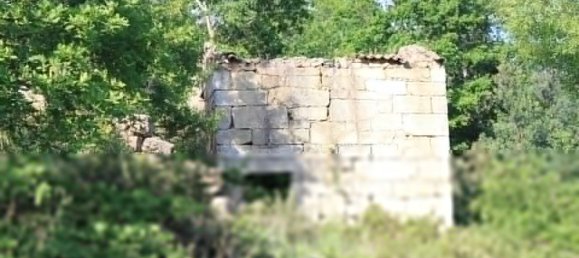 7 غرف نوم قلاع في Silgueiros, Portugal رقم 58257 11