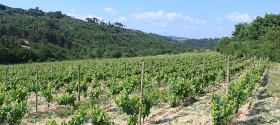 7 غرف نوم قلاع في Silgueiros, Portugal رقم 58257 26