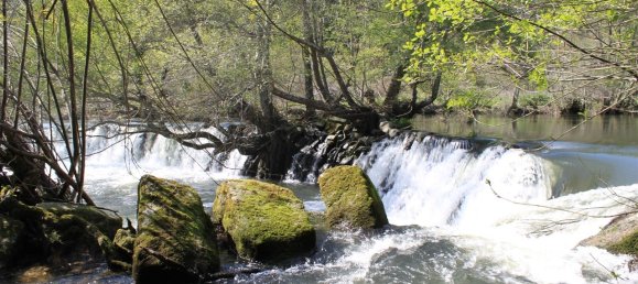 7 غرف نوم قلاع في Silgueiros, Portugal رقم 58257 8