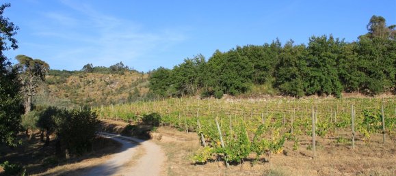 7 غرف نوم قلاع في Silgueiros, Portugal رقم 58257 18