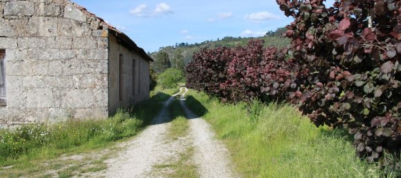 7 غرف نوم قلاع في Silgueiros, Portugal رقم 58257 49