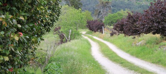7 غرف نوم قلاع في Silgueiros, Portugal رقم 58257 45