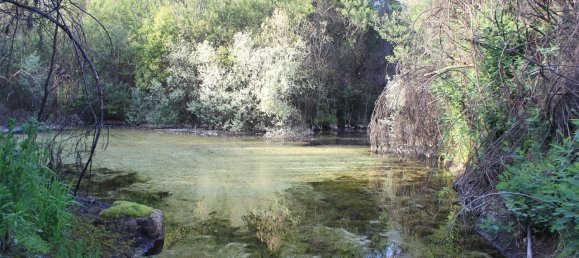 7 غرف نوم قلاع في Silgueiros, Portugal رقم 58257 23