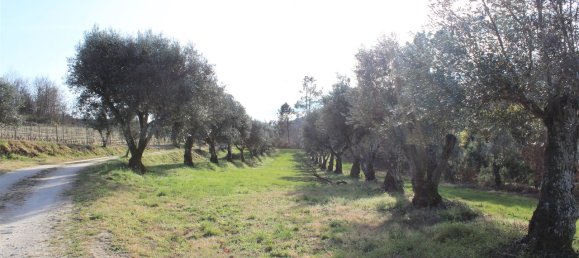 7 غرف نوم قلاع في Silgueiros, Portugal رقم 58257 20