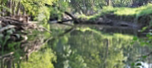 7 غرف نوم قلاع في Silgueiros, Portugal رقم 58257 22