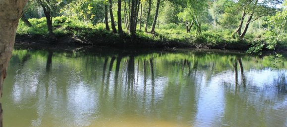 7 غرف نوم قلاع في Silgueiros, Portugal رقم 58257 3