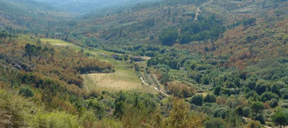 7 غرف نوم قلاع في Silgueiros, Portugal رقم 58257 4