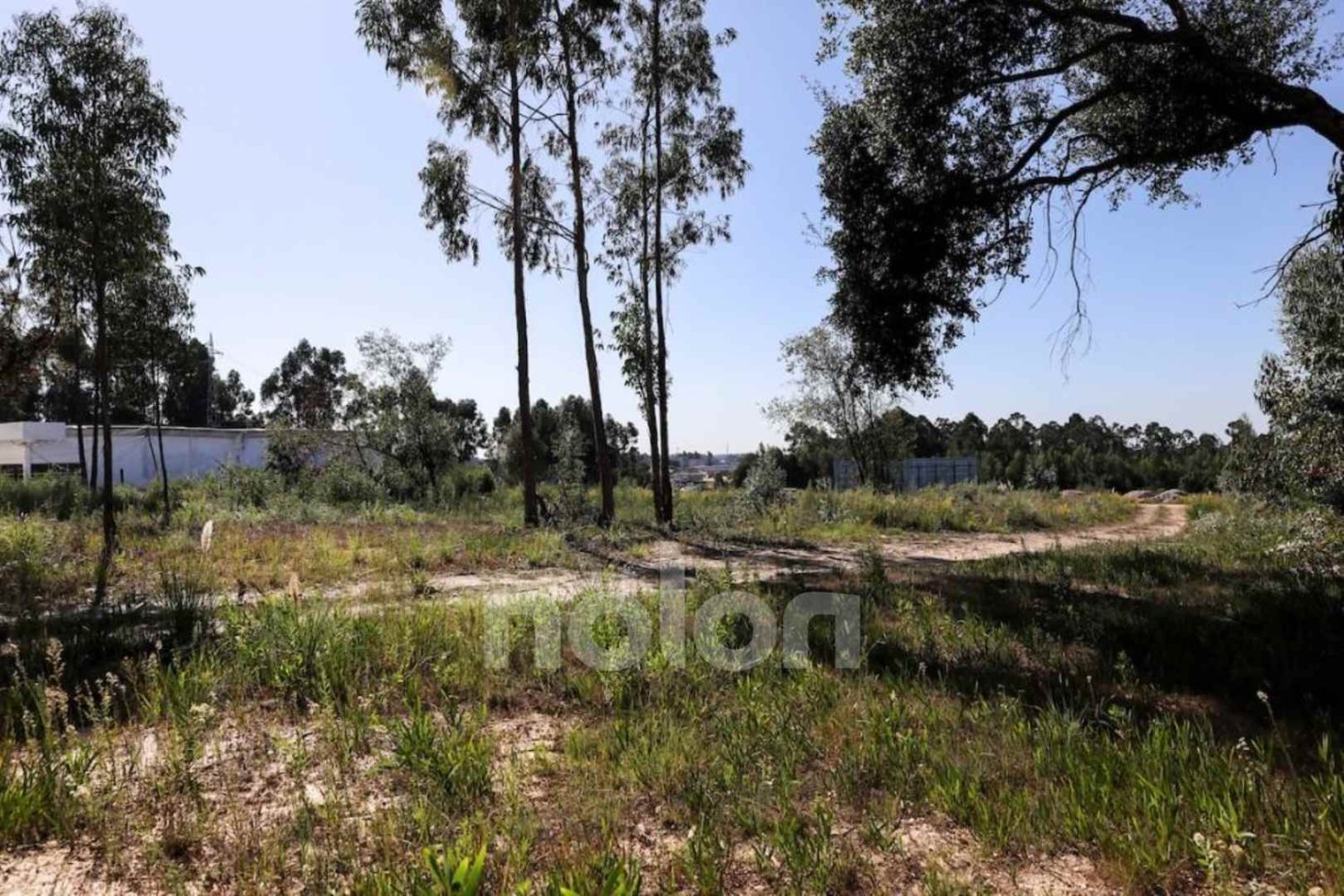  قطعة أرض في Rio Meao, Portugal 2593متر مربع رقم 95388