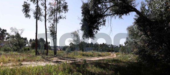 قطعة أرض في Rio Meao, Portugal 2593متر مربع رقم 95388 10