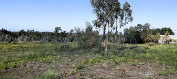 قطعة أرض في Rio Meao, Portugal 2593متر مربع رقم 95388 9