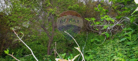 4 bedrooms House in Catania, Italy No. 237547 21