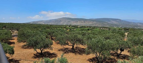 4 bedrooms Villa in Ierapetra, Greece No. 3107 17