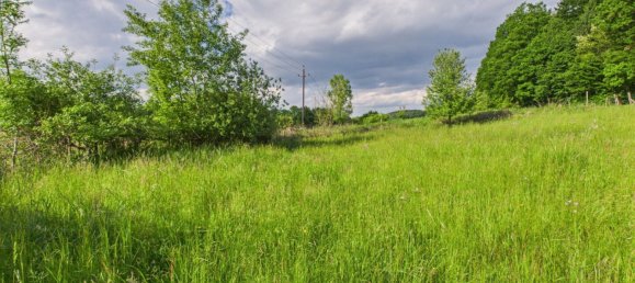 Земельный участок в Хартберг, Австрия № 126331 3