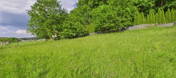 Земельный участок в Хартберг, Австрия № 126331 4