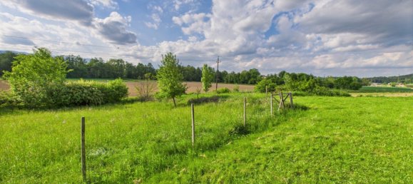 Земельный участок в Хартберг, Австрия № 126331 6