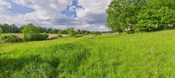 Земельный участок в Хартберг, Австрия № 126331 5