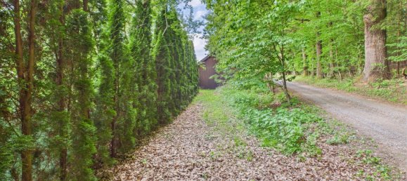 Земельный участок в Хартберг, Австрия № 126331 2